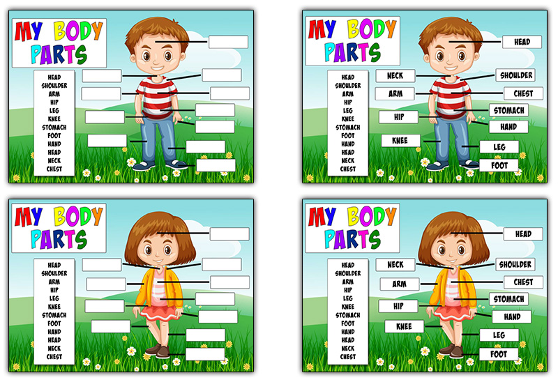 preschool worksheets body parts
