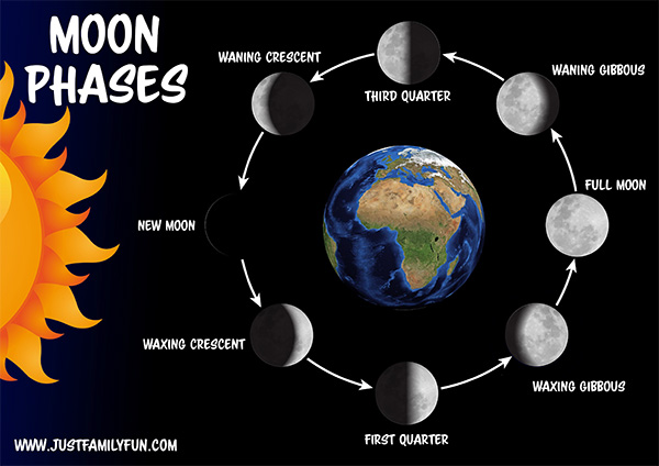moon phases of the moon