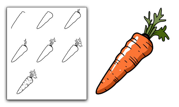 How to DRAW a CARROT Easy Step by Step Drawing for Beginners - YouTube