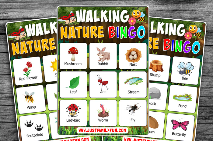 Nature Bingo Cards | UPDATED 2022 | Nature Walk Bingo For Kids