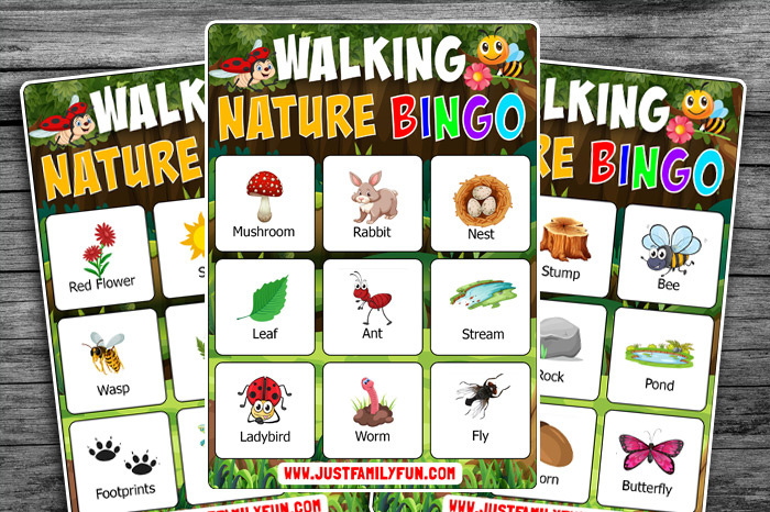 nature bingo cards set free