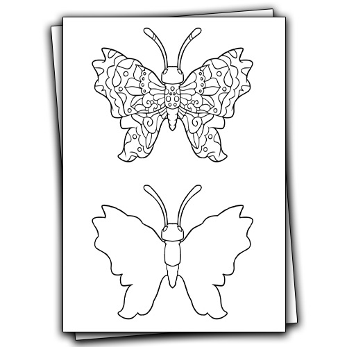 butterfly blank