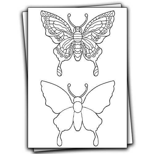 butterfly image to color