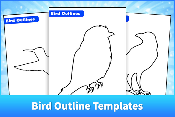 Bird Outline Templates