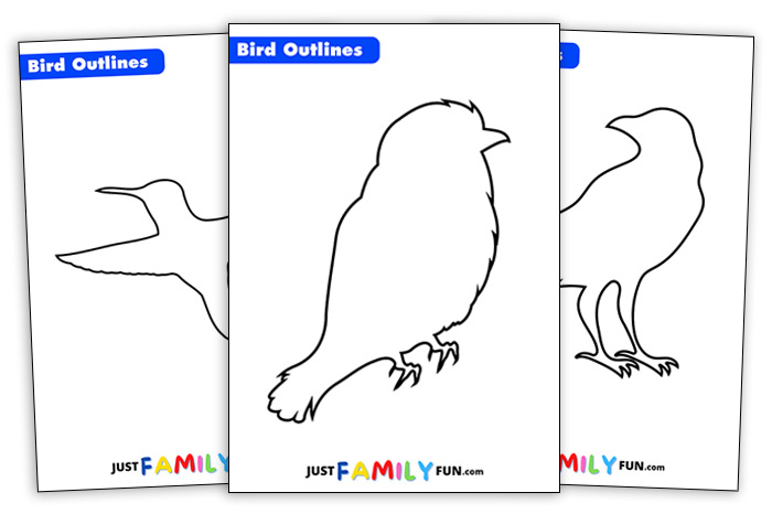 printable bird outline template