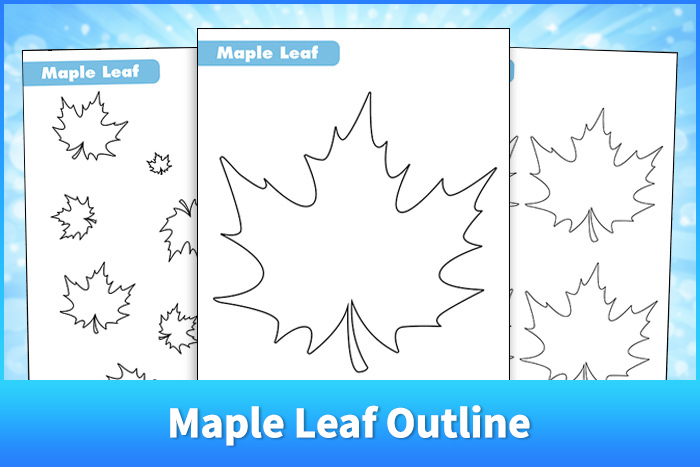 Maple Leaf Outline