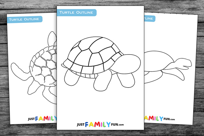turtle stencil coloring page