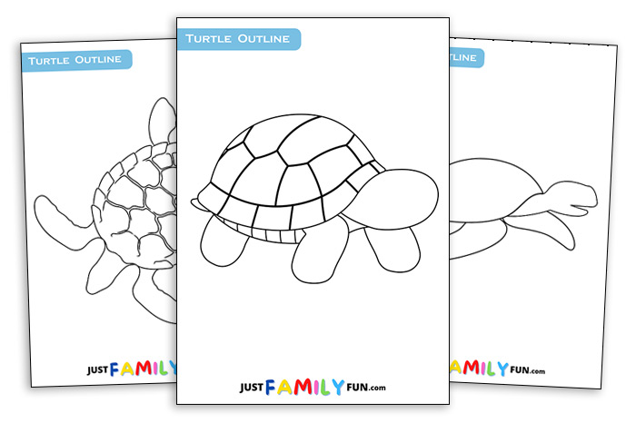 Printable Turtle Outline Template Just Family Fun