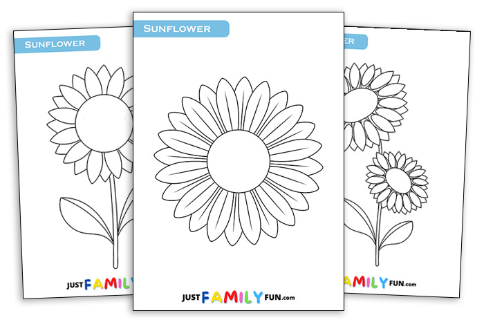 sunflower outline