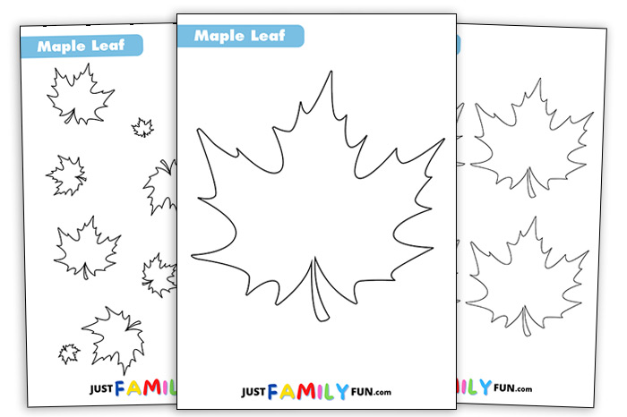 Maple Leaf Outline