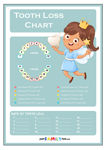 tooth loss age chart