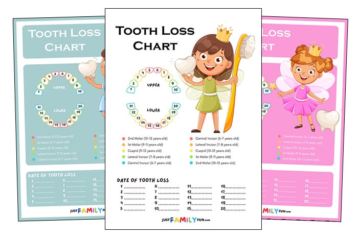 Printable tooth loss chart
