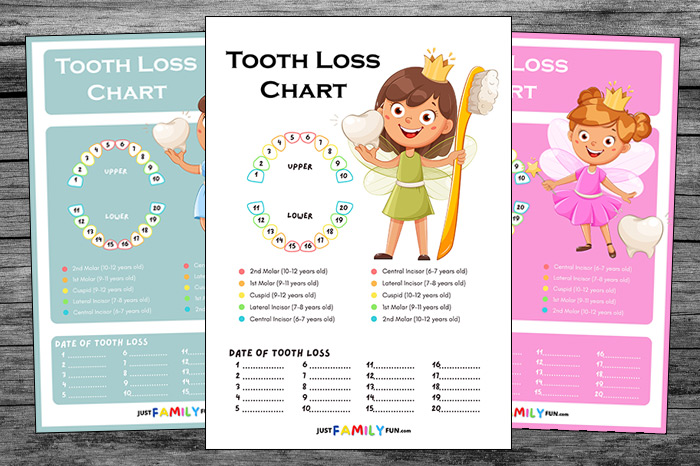 Kids Losing Teeth Chart
