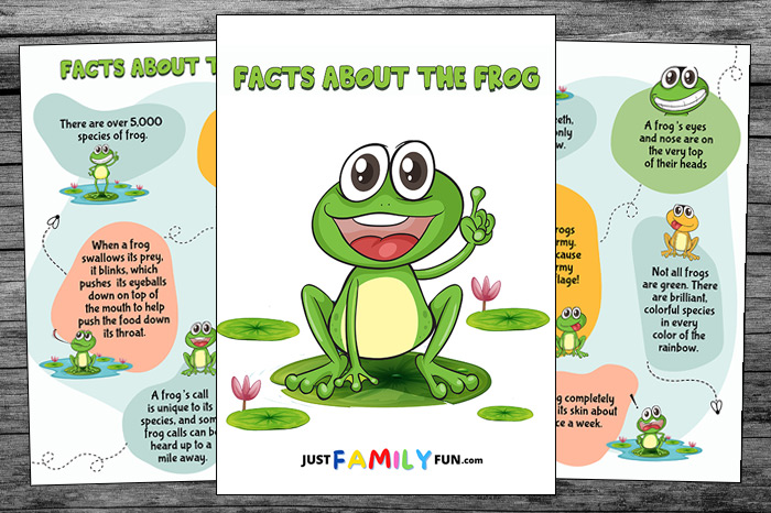 Printable Frog Facts For Kids