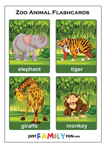 zoo animals flashcards pdf