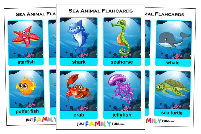 sea animals flashcards