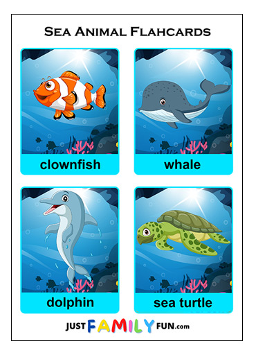 ocean animal flashcards