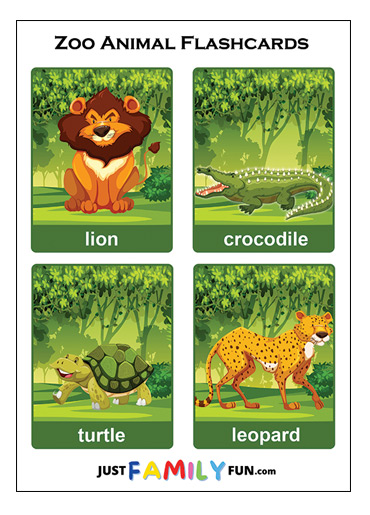 zoo animals flashcards