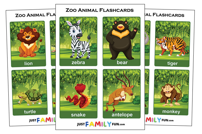 zoo animal flashcards