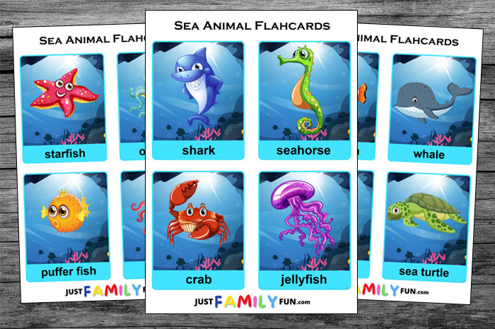 sea animal flashcards