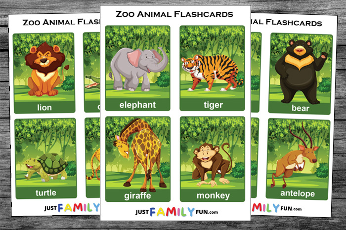 zoo animal flashcards