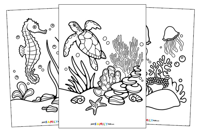 coloring pages of coral reefs