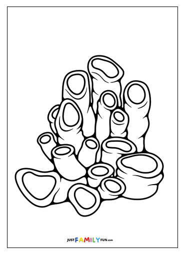coral coloring pages