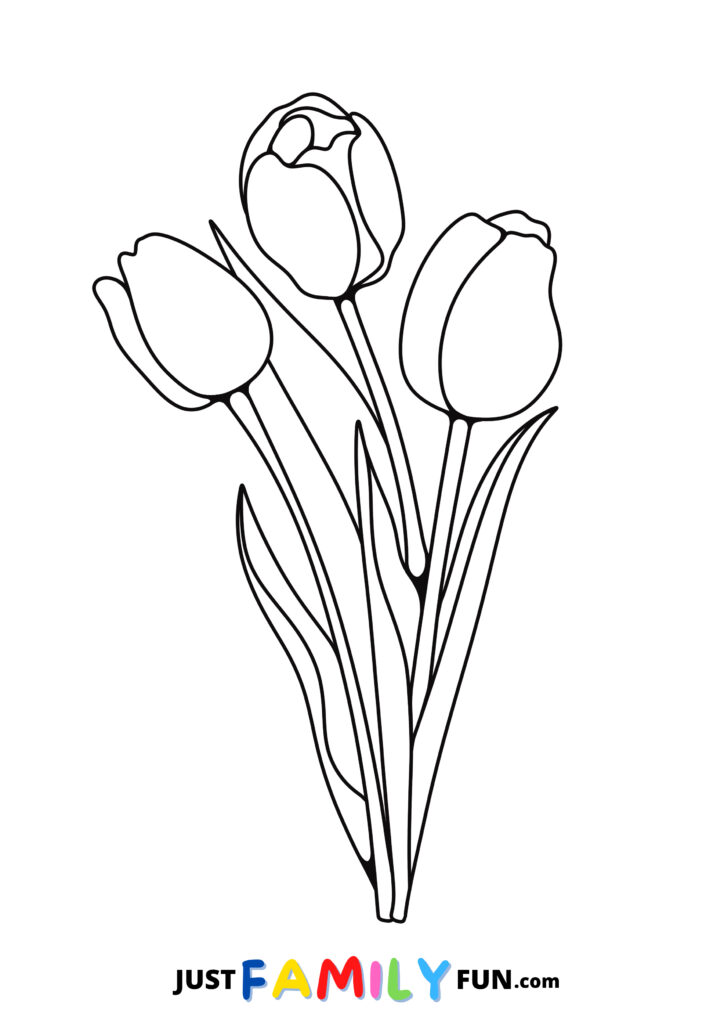tulips coloring pages printable
