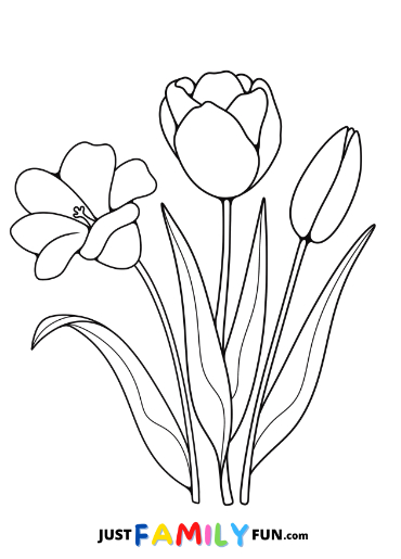 printable coloring pages of tulips