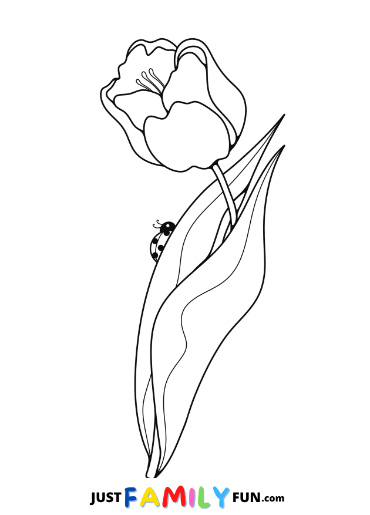 tulips coloring pages