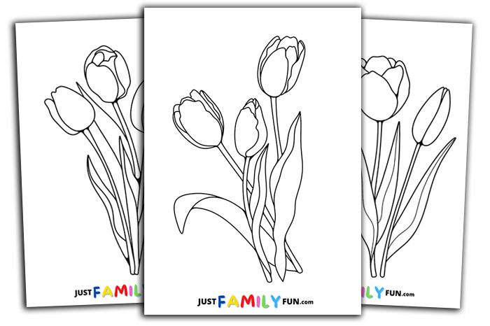 tulip template printable