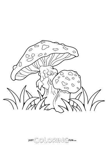fungi coloring worksheet