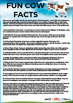 fun facts about cows