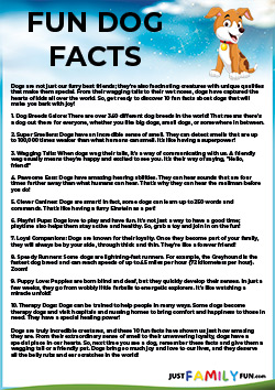 fun facts about dogs