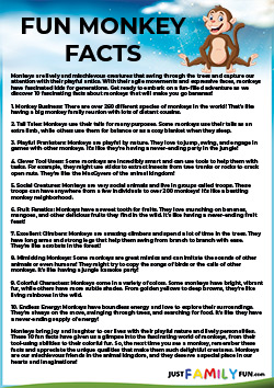 fun facts about monkeys
