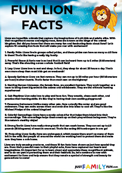 fun facts about lions
