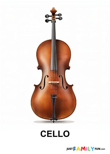 cello instrument on white background