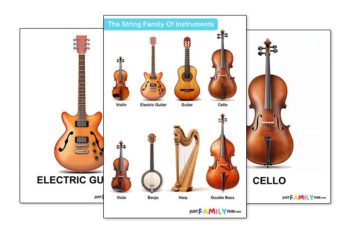 string musical instruments with pictures