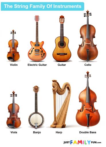 collection of string instrumentswith names