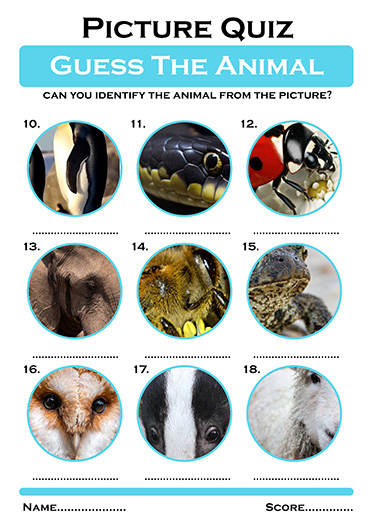 guess the animal quiz