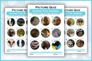 guess the animal picture quiz