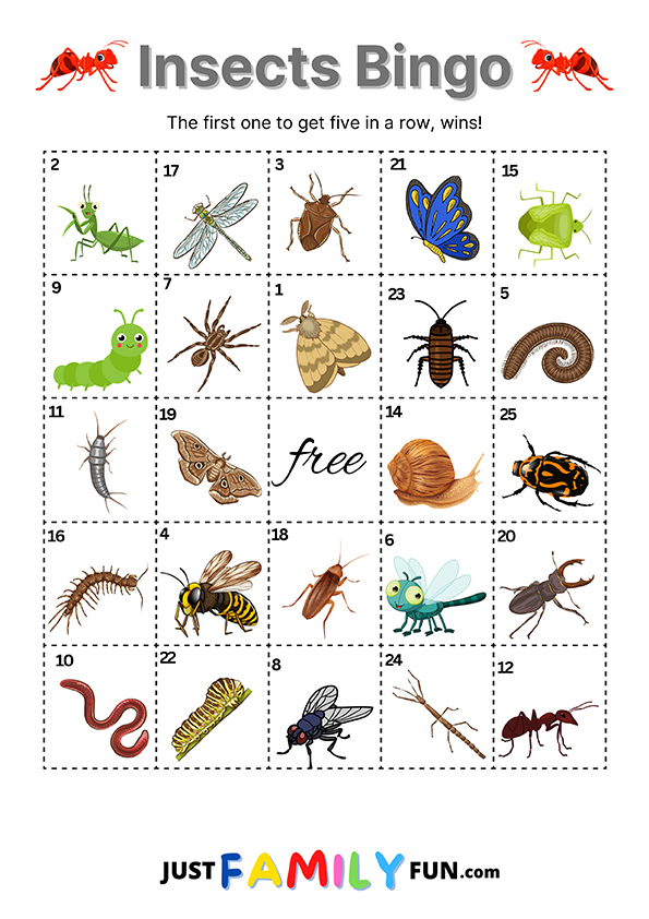 insects bingo game cards