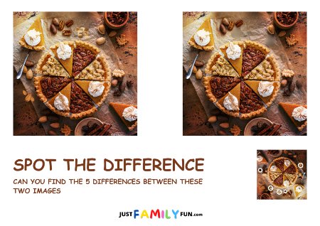 Spot the Difference Puzzle