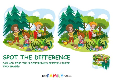 find the Difference Puzzle