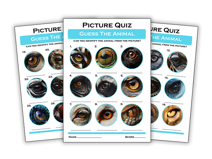 guess the animal eye quiz