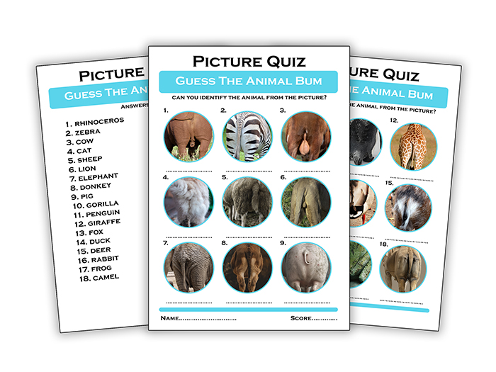 guess the animal bum quiz