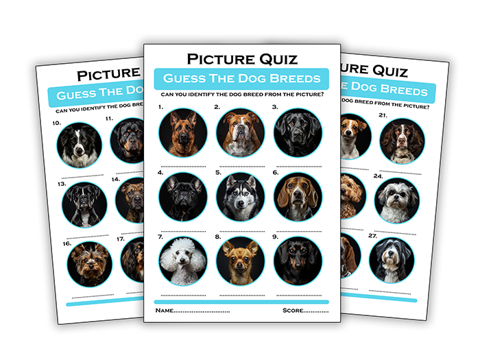 guess the dog breed quiz