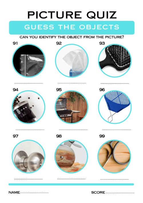 printable picture quiz with answers