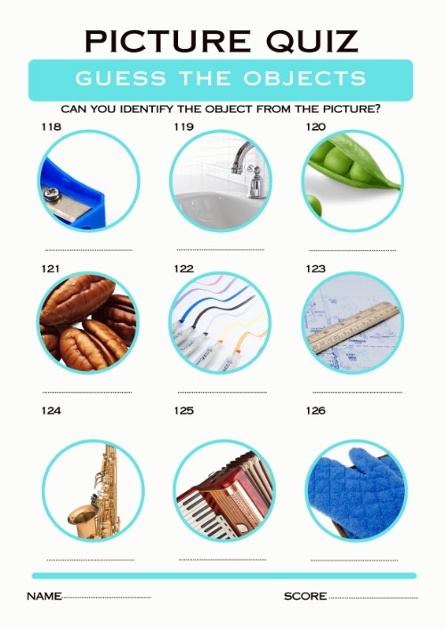 printable picture quiz with answers