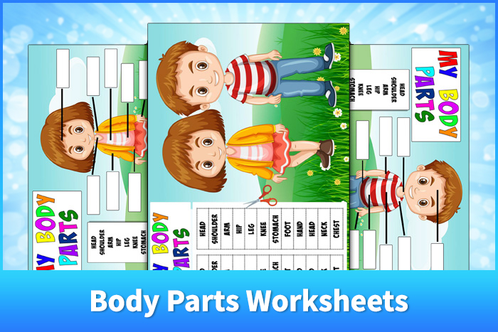 Body Parts Worksheets